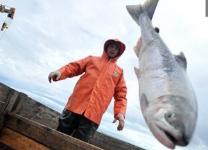 В России планируют изменить правила рыболовства