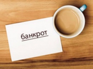 Депутат объяснил рост числа банкротств российских компаний