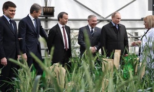Путин призвал снять барьеры для выхода фермерской продукции на рынок