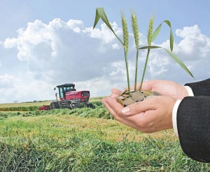 Правительство РФ смягчило условия получения грантов для сельхозпроизводителей