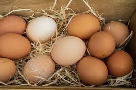 Социально значимые товары: ФАС хочет запретить ретейлу взимать плату с поставщиков куриных яиц