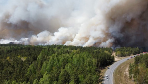 Правительство компенсирует регионам затраты на тушение лесных пожаров