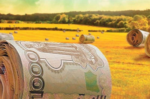 Начинающие фермеры смогут получить до 10 миллионов рублей от государства 