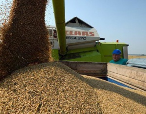 Путин: поддерживать производителей зерна в России можно через госзакупки