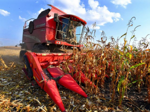 Эксперты: продукт поддержки сельхозкооперативов покажет фермерам выгоду от объединения