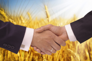 В г. Новосибирске создан сельскохозяйственный кредитный кооператив